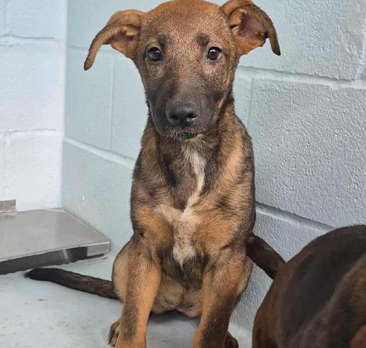 Photo of Loretta Lynn 25-11-120