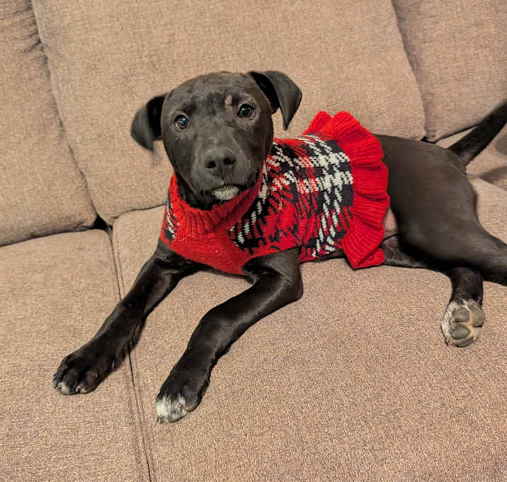 Photo of Cindy Lou Who