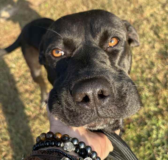 Photo of Kirk - k.a.