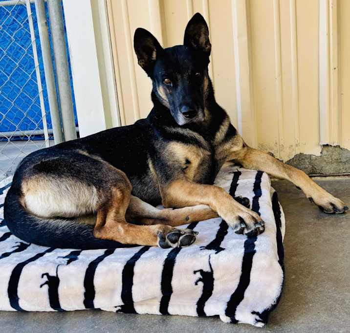 Photo of TENDER HEART