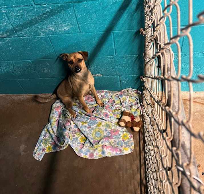 Photo of Hopper (10035)