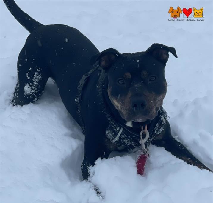 Photo of JAMES EARL BONES