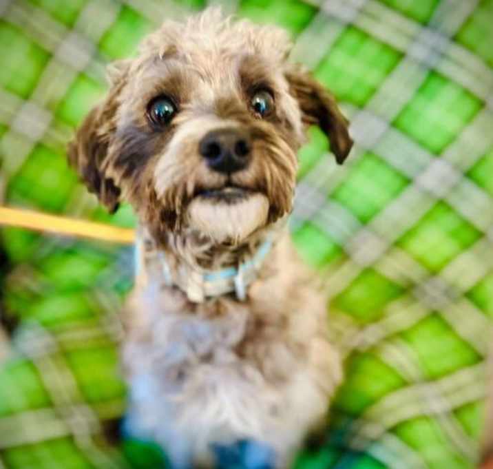 Photo of Finn Nov 25