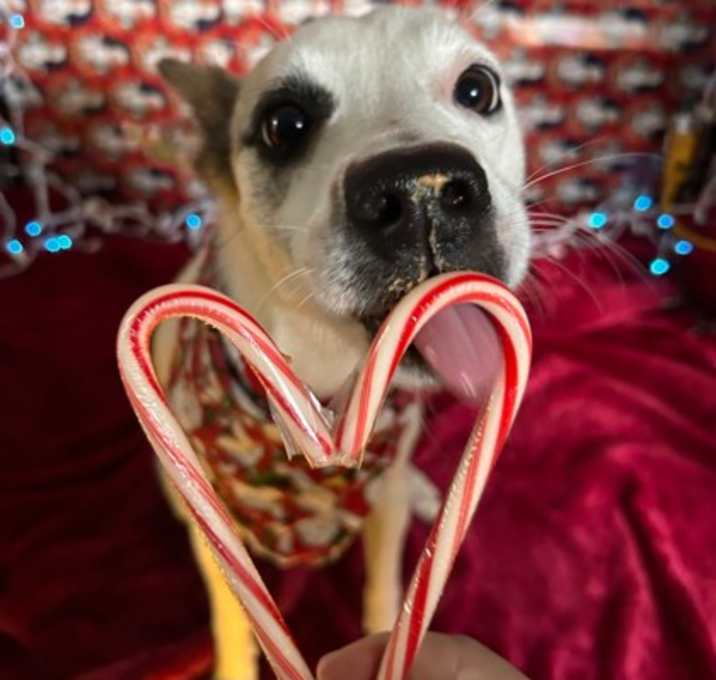 Photo of Princess Lexi