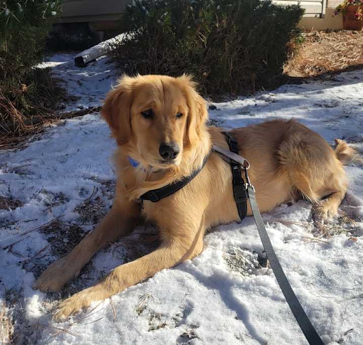 Photo of 865 (2025) Beau