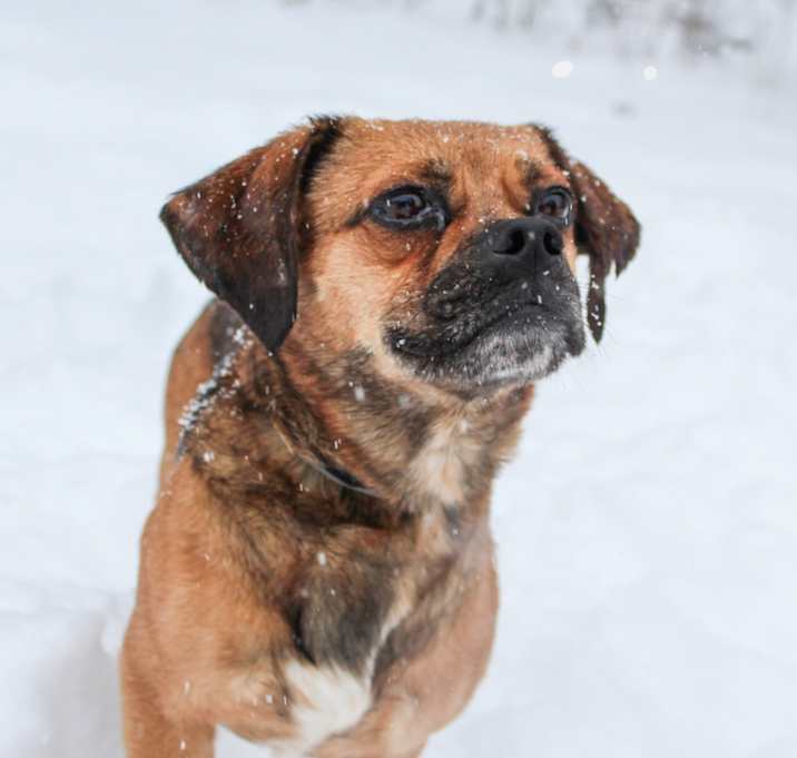 Photo of McQueen 167