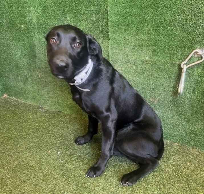 Photo of CARLA WITH A K