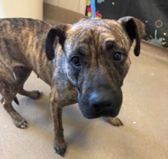 Photo of LOVELY- HW+