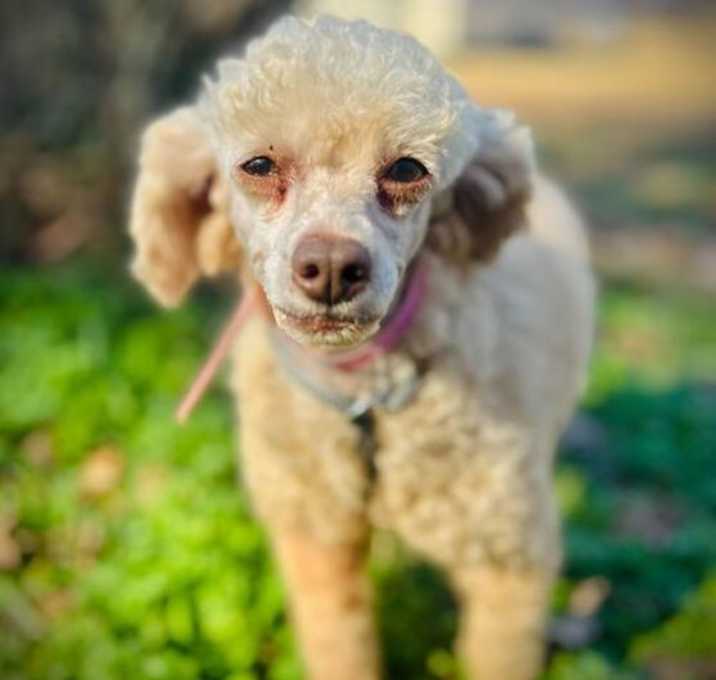 Photo of Sugar Nov 25