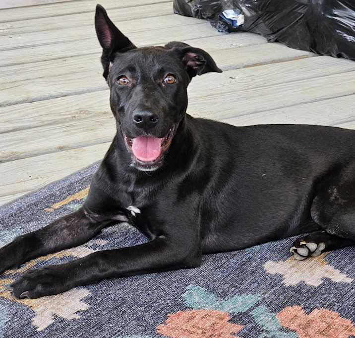 Photo of Truffles BW