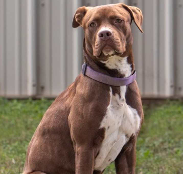 Photo of F25 FC 1285 Hailey