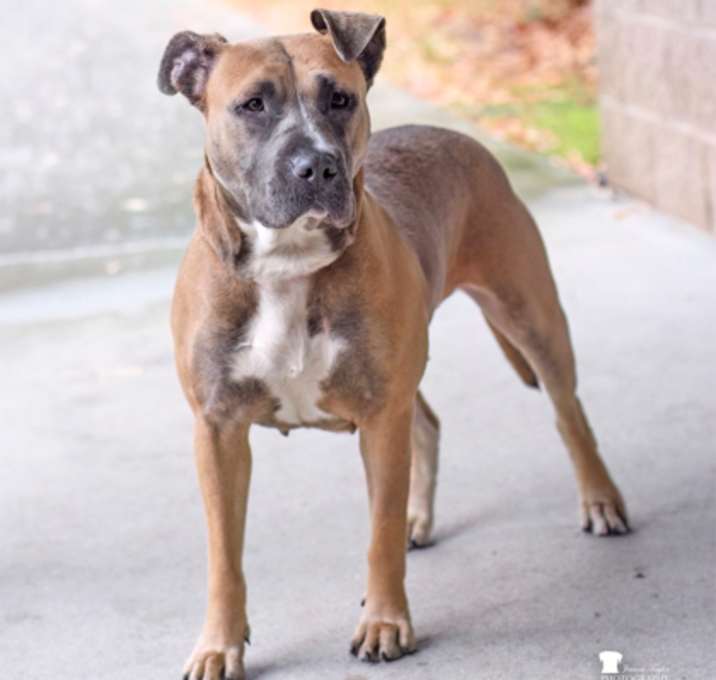 Photo of 88431a Cutie Girl