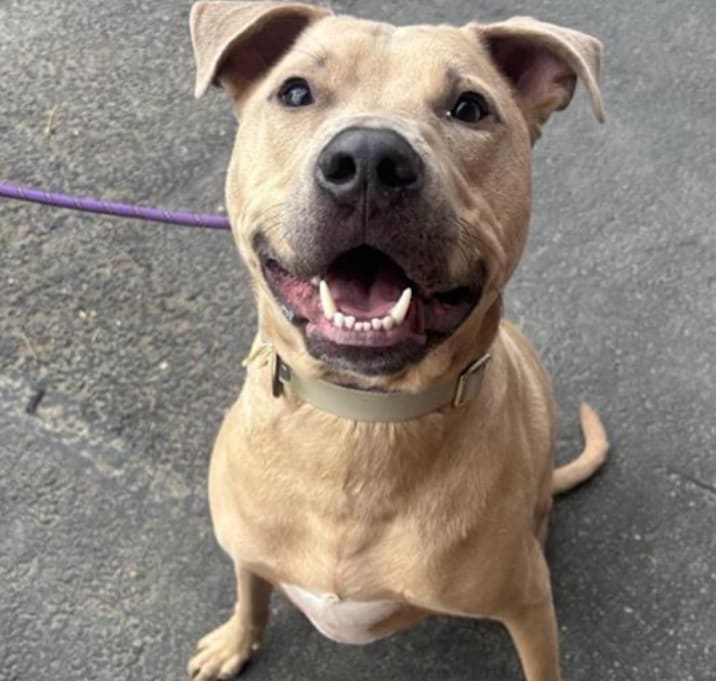 Photo of Caleb (Milo)