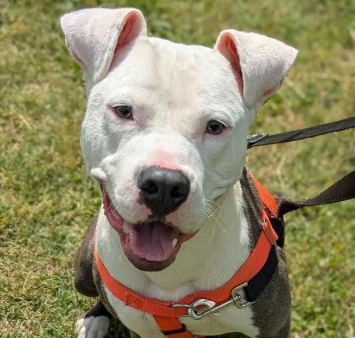 Photo of Mr. Worldwide