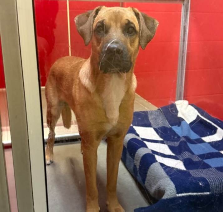 Photo of Bruce Barksteen