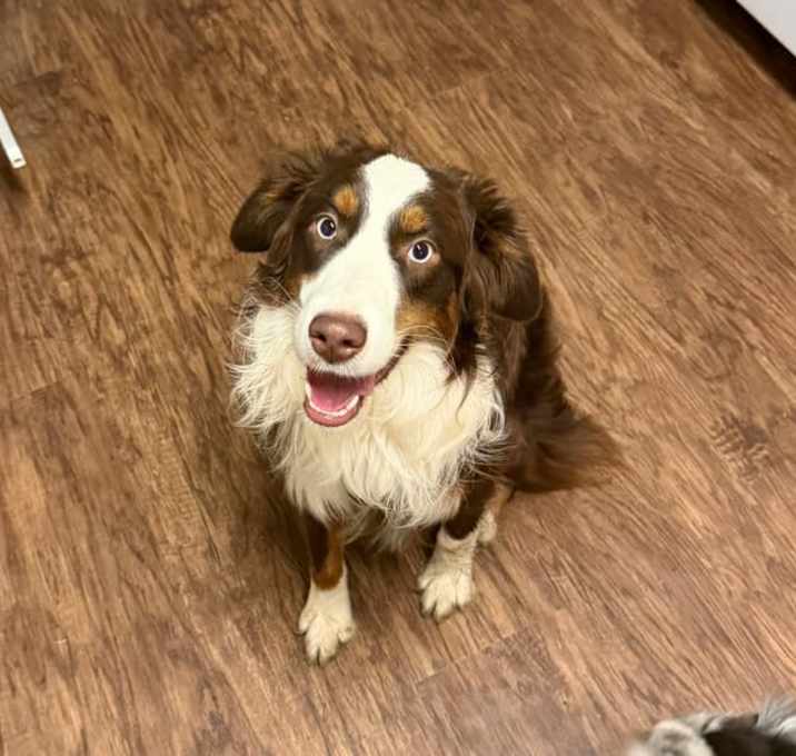 Photo of Ned Flanders/Sinatra