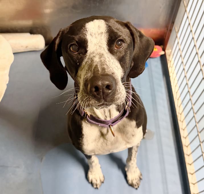 Photo of Louise NKA Atlas