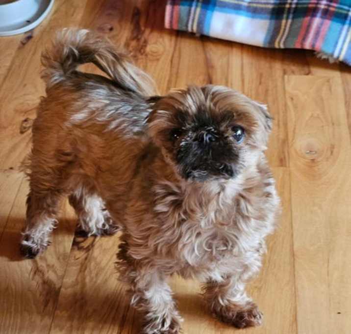 Photo of RJ 'Riley Joe'