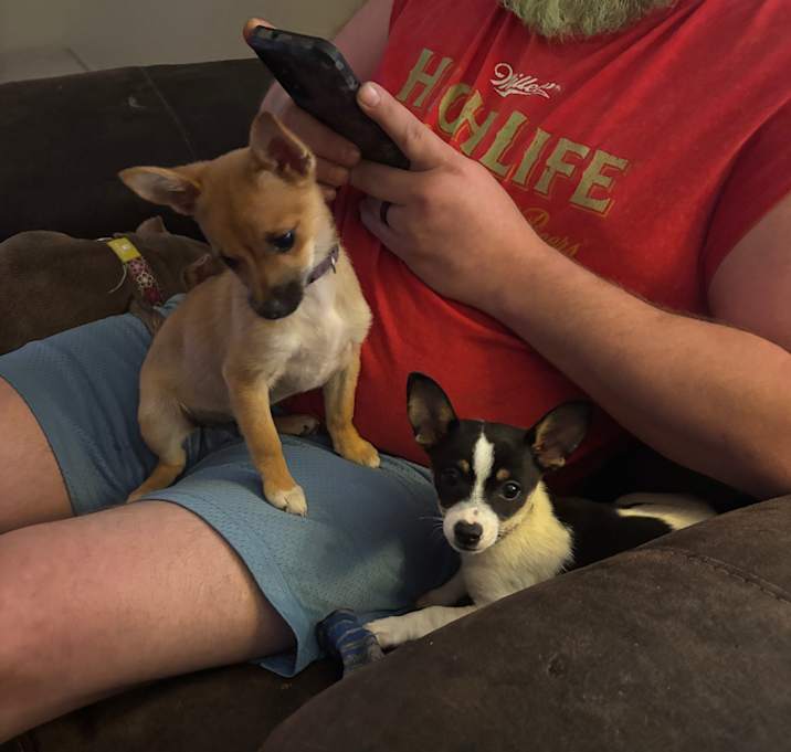 Photo of Pup 1 and 2