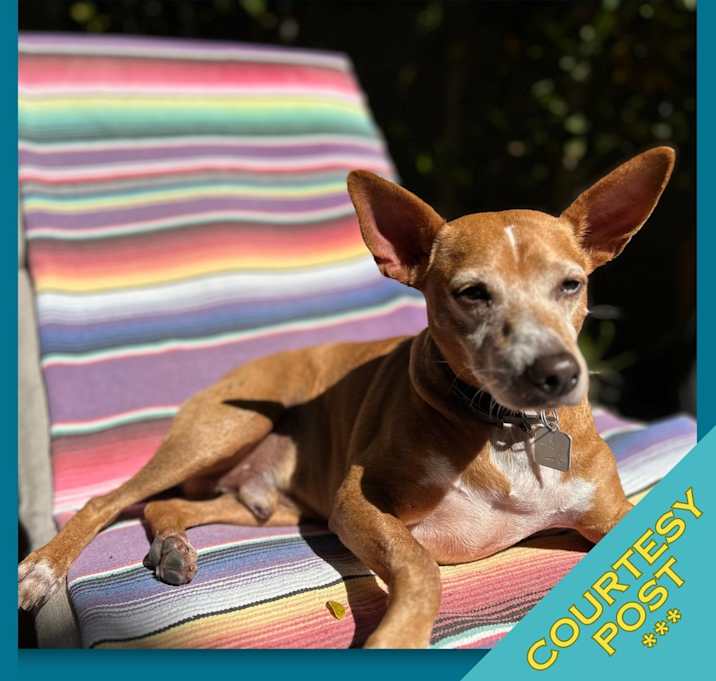 Photo of Bonkers (CP)