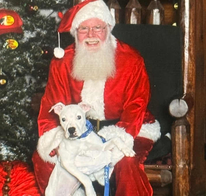 Photo of Potato Chip