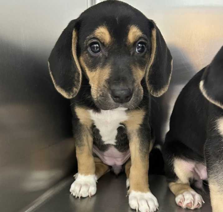 Photo of Miss Kelsey