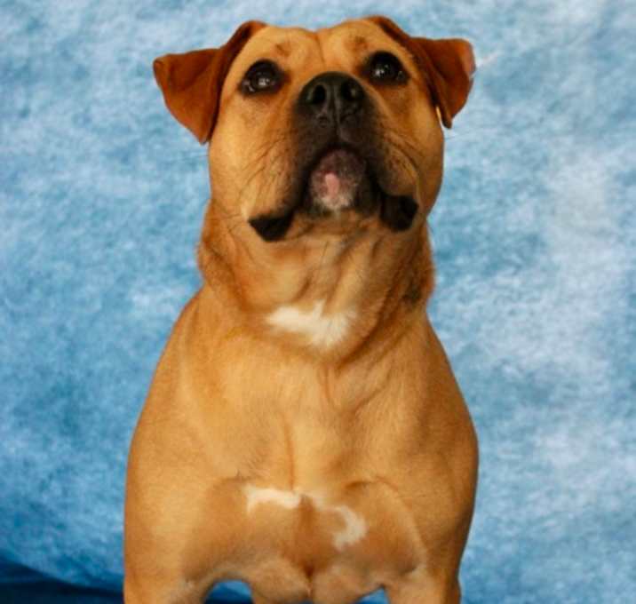 Photo of Nazu(Cielo)