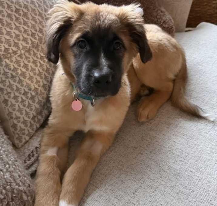 Photo of Wonder Woman