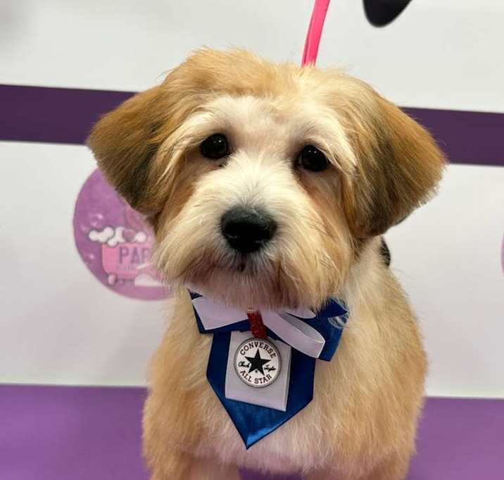 Photo of Nutter Butter