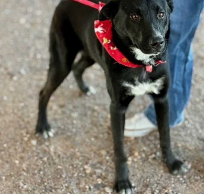 Photo of Timekeeper*