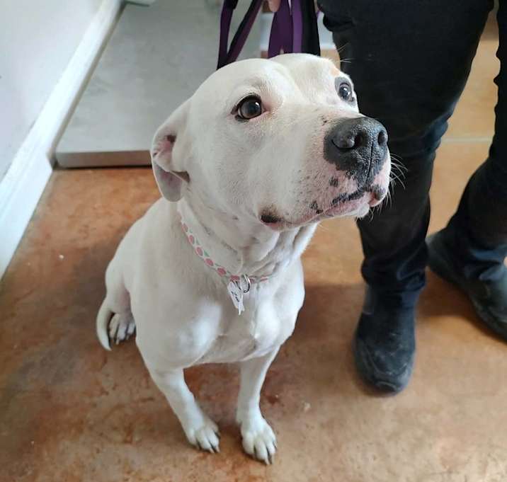 Photo of Princess Elsie