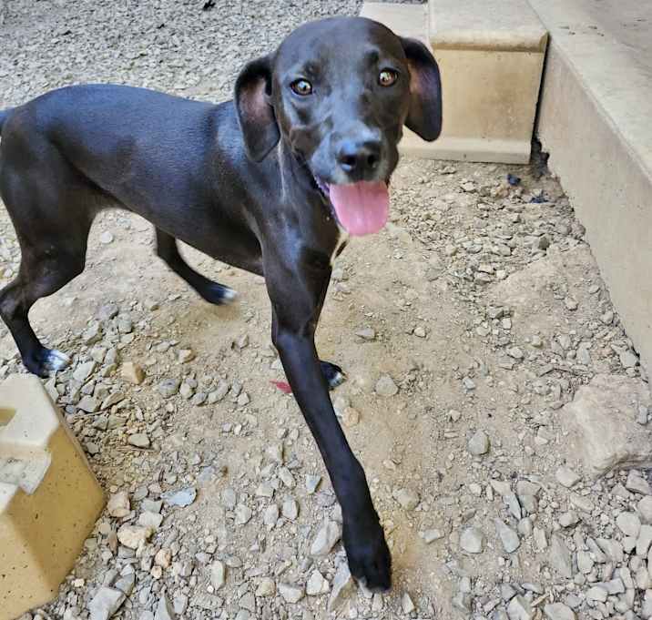 Photo of Electra in CT