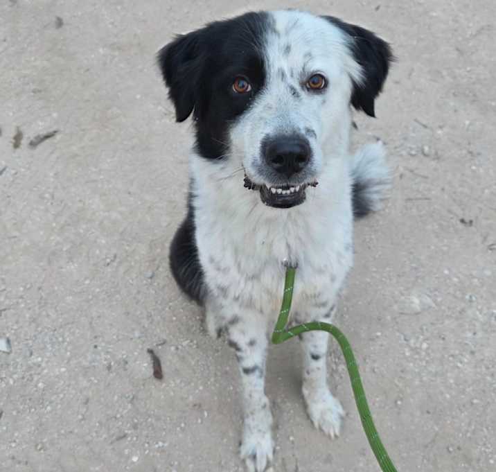 Photo of Eclipse JuM