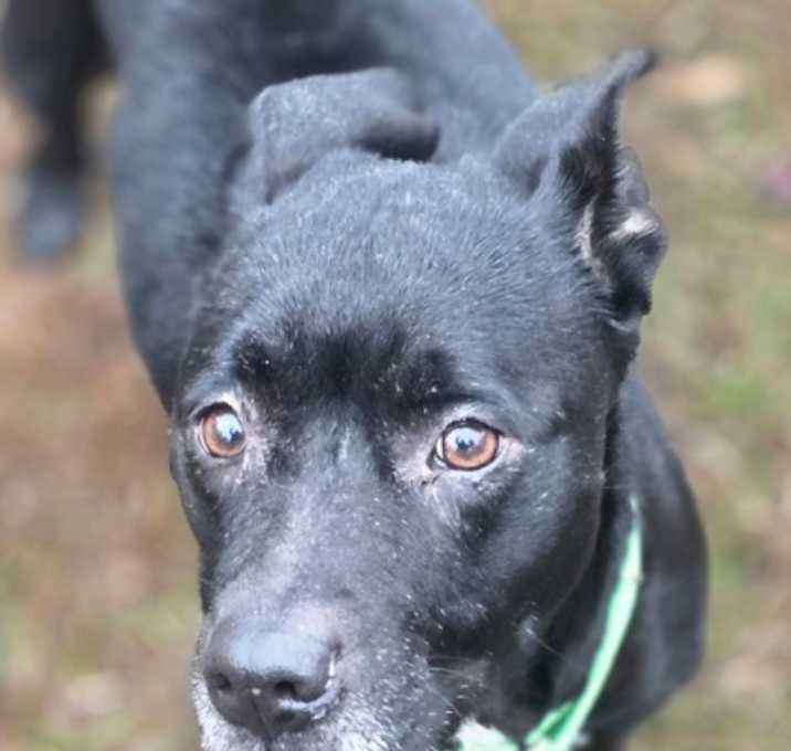 Photo of Lady Bug(HW+)