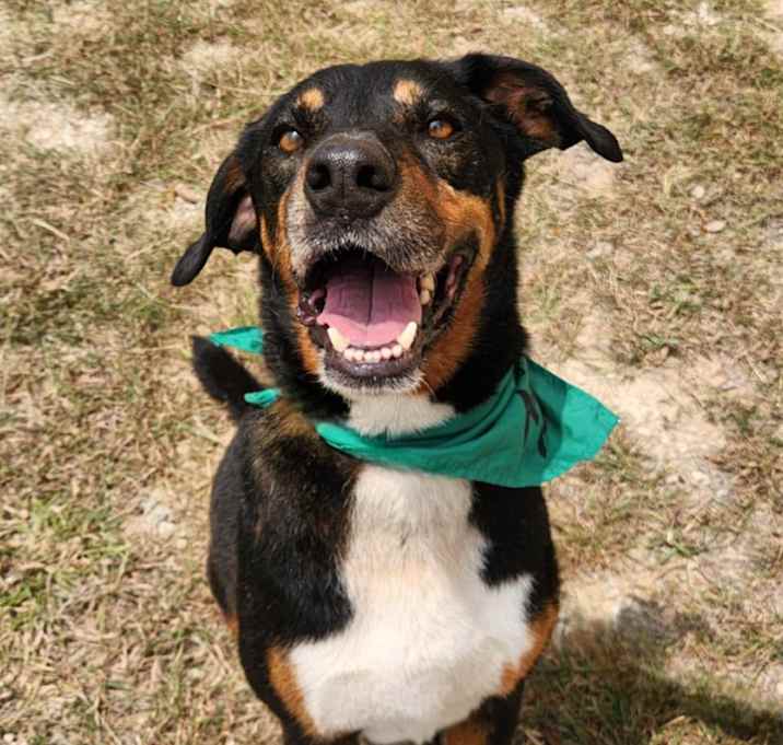 Photo of Fury JuM aka Rocky