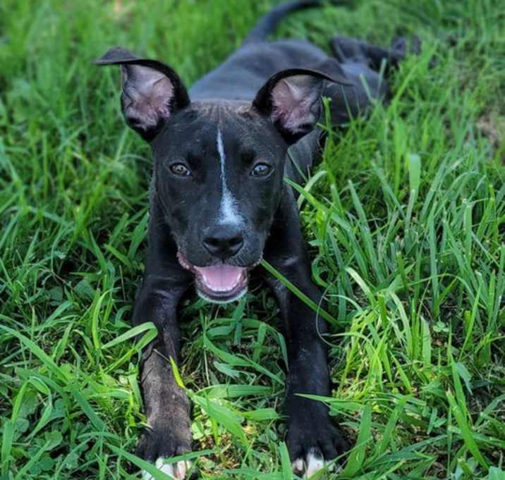 Photo of Turtle Power