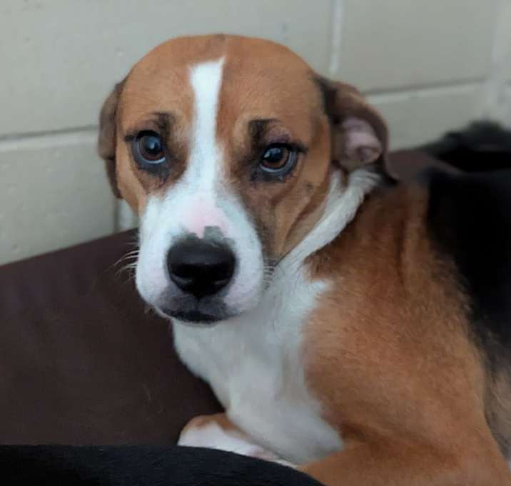 Photo of Madame Betty Biscotti