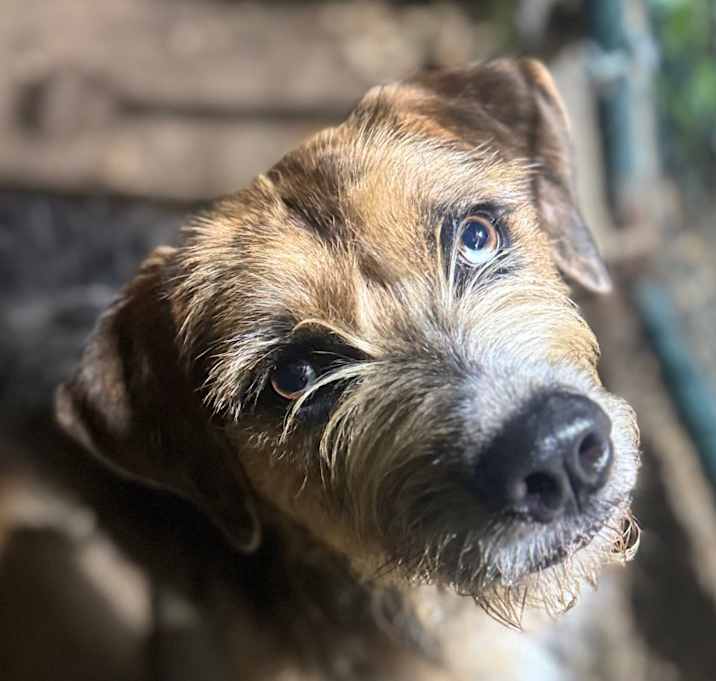 Photo of Blythe Blue