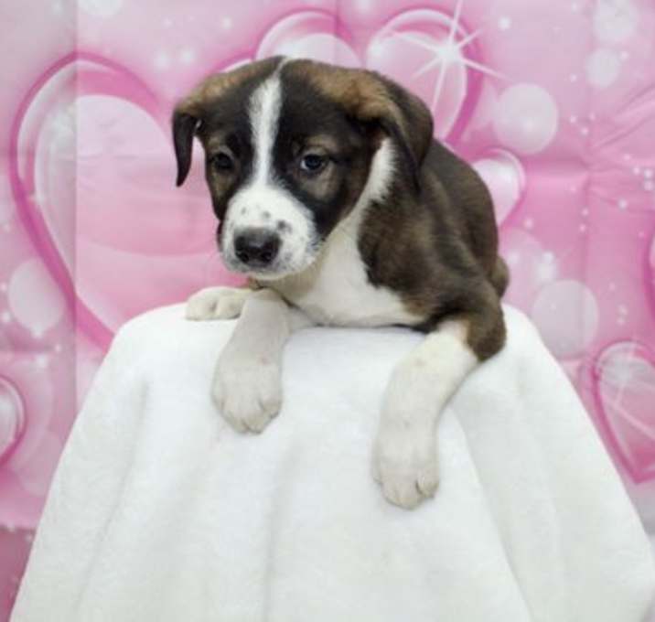 Photo of Marie Angela