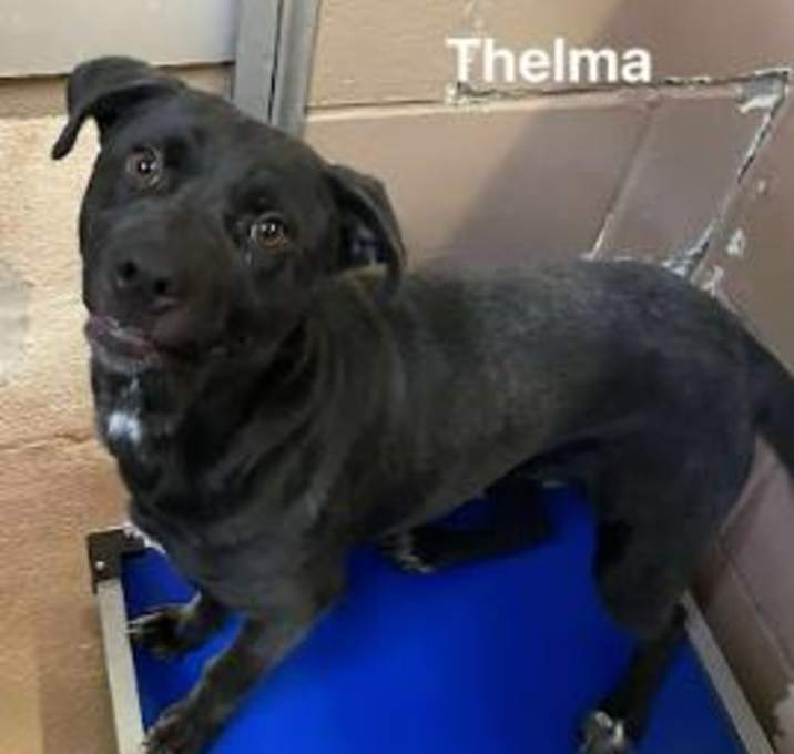 Photo of Thelma