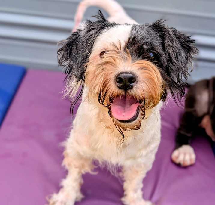 Photo of Panera Bread