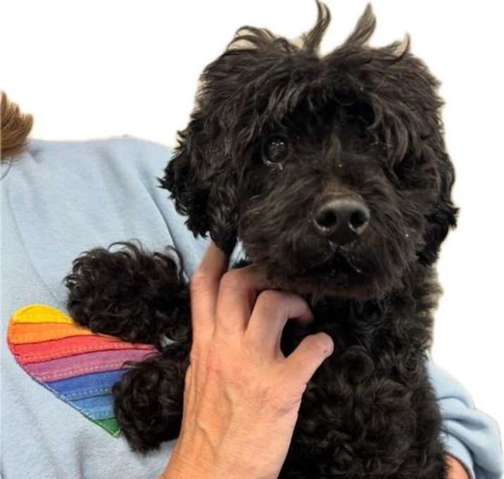 Photo of Judd Nelson