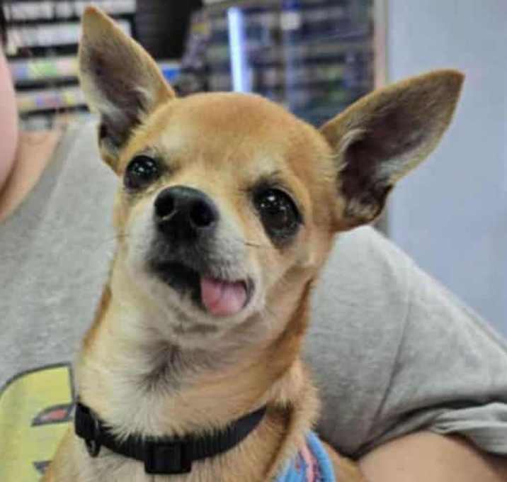 Photo of Eddie Munson