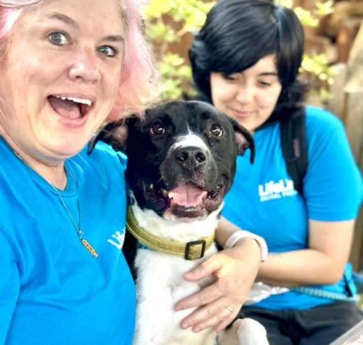 Photo of Hocus Pocus (Foster)