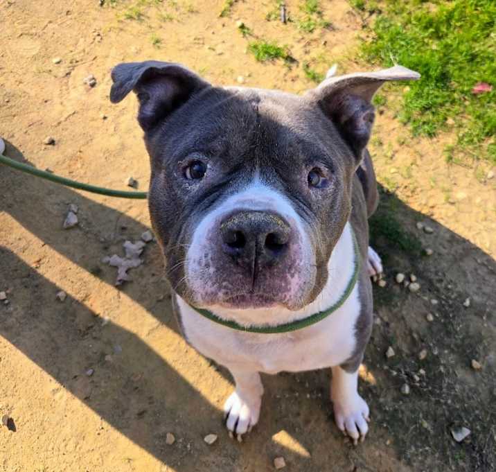 Photo of Spike Little