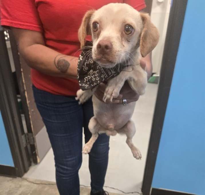 Photo of MICHEAL PHELPS