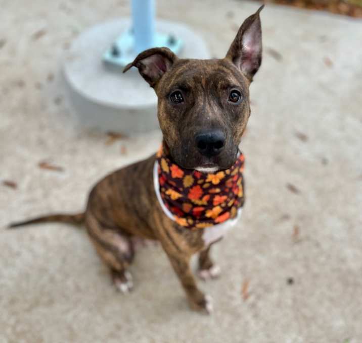 Photo of MAMA STORMY