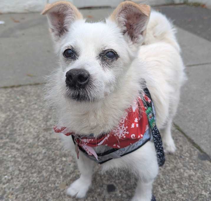 Photo of Kernel 13531