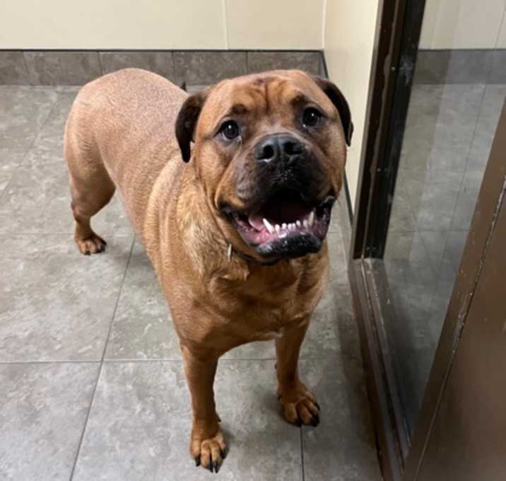 Photo of Zoie aka Kale