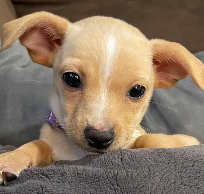 Photo of 846 (2025) Dora